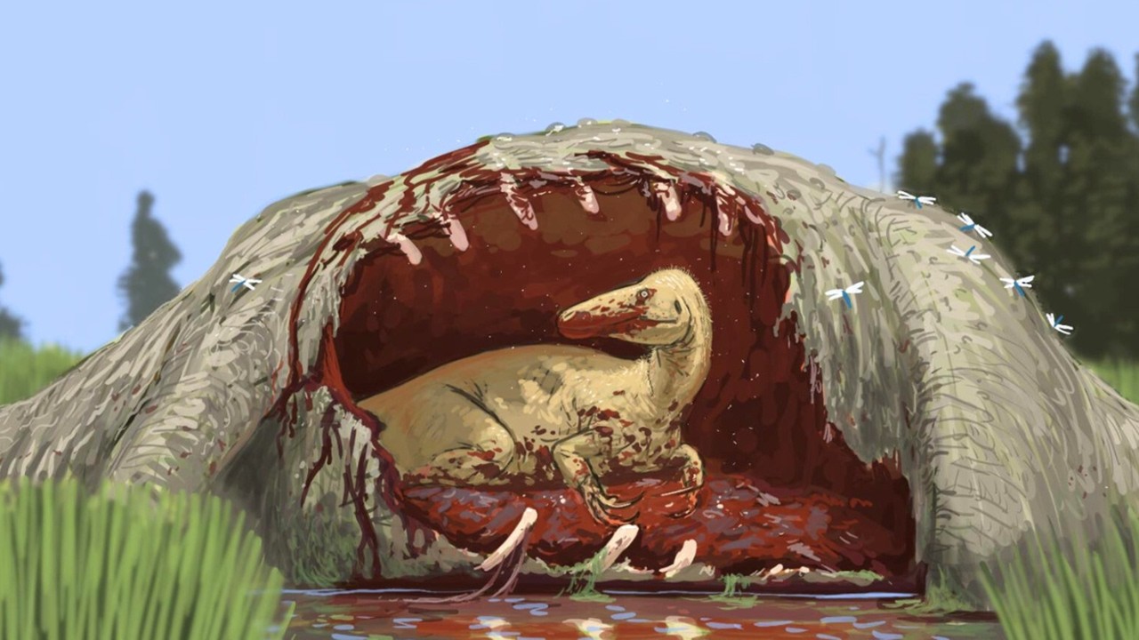 Raptors Were Basically Angry Birds on Steroids