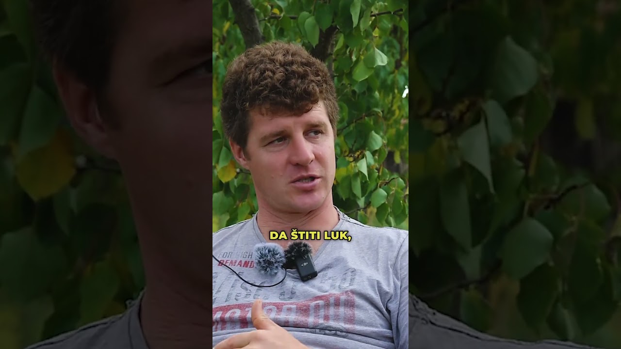 Udružena sadnja: kako beli luk čuva jagode!
