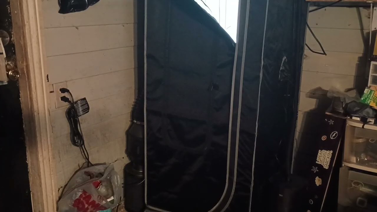 Beginner grow guide autoflower AC Infinity 2x2 grow
