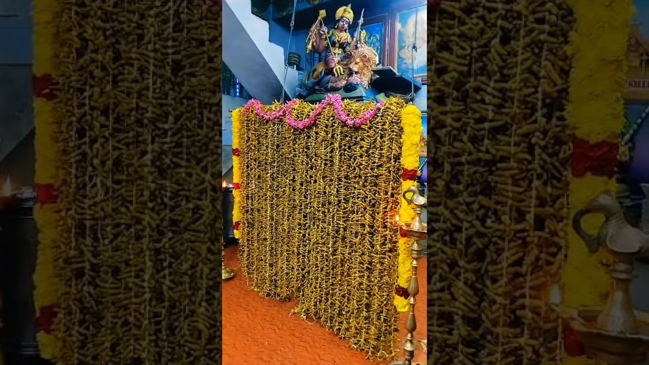 மார்கழிமாதம் 30நாள்அபிஷேகமும்  அம்மனுக்குபட்டுபுடவை 1,00,008 விரலிமஞ்சள்மாலைசார்த்தி பூஜைநடைபெற்றது.