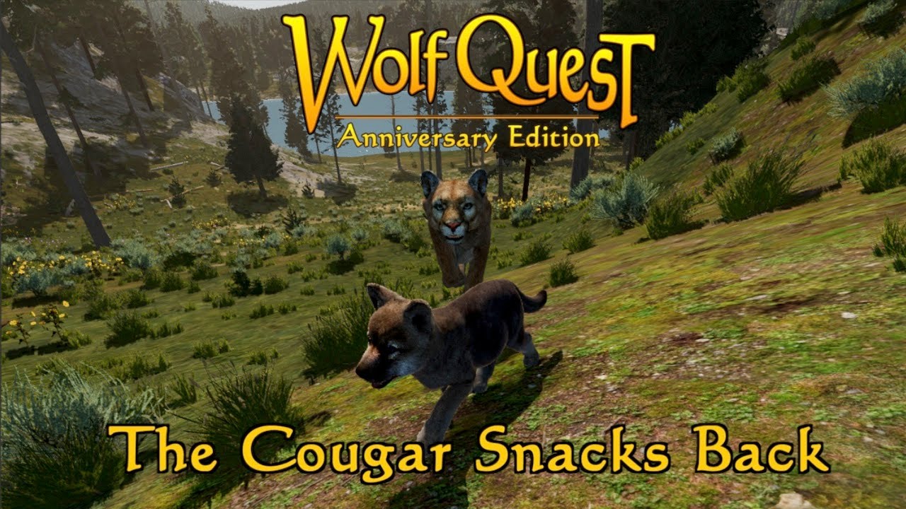 The Cougar Snacks Back