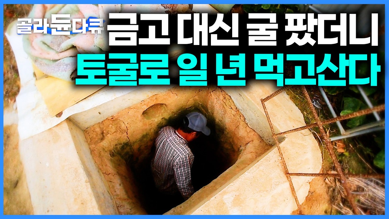 마을에 직접 만든 토굴만 50개. 금고 대신 7m 깊이의 토굴 매년 가득 채워넣는 독특한 시골마을 가봤더니｜생강 채취 과정｜한국기행｜#골라듄다큐