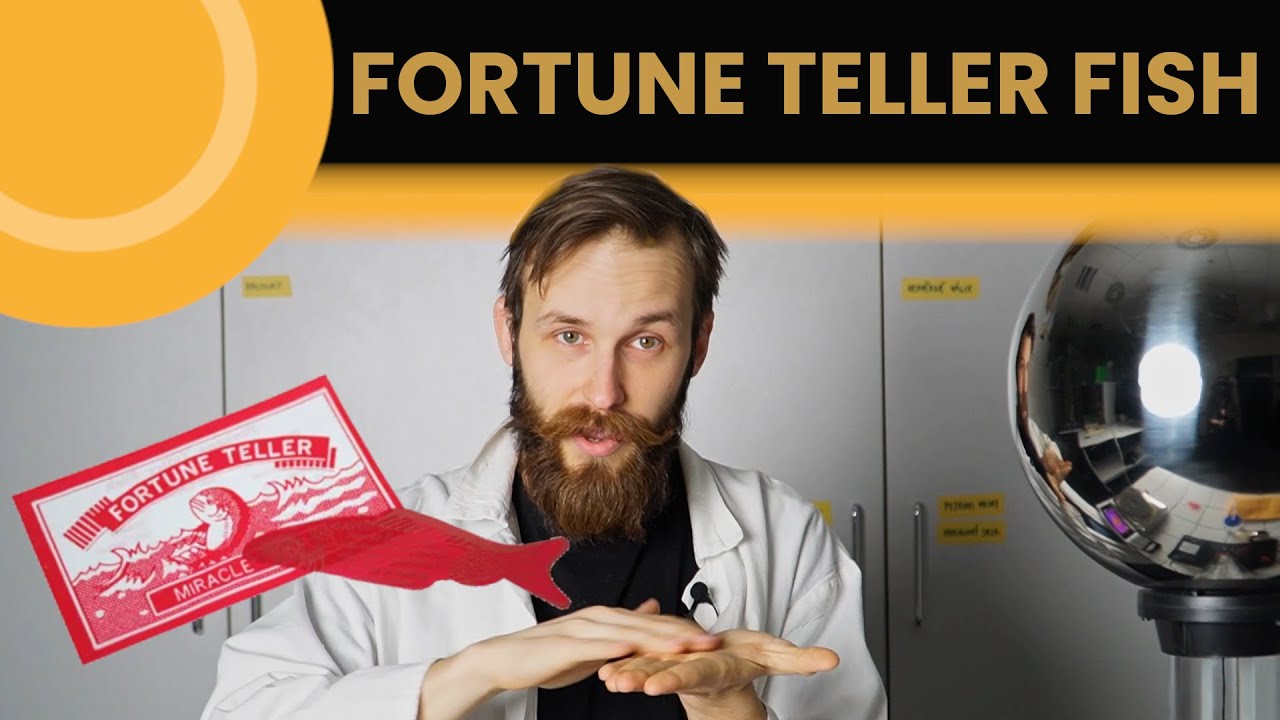 FORTUNE TELLER FISH - the physics behind it - Adam Blahak