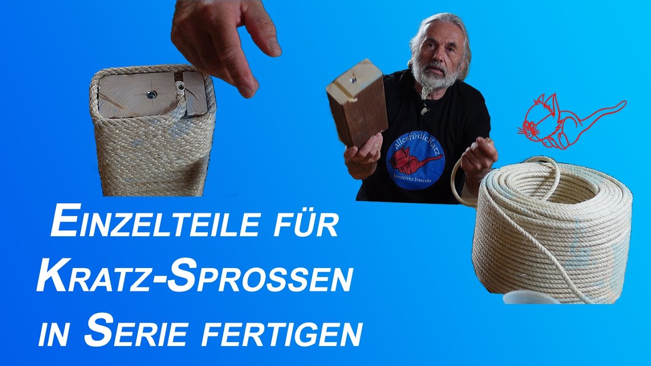Viele Kratzsprossen braucht das Tierheim