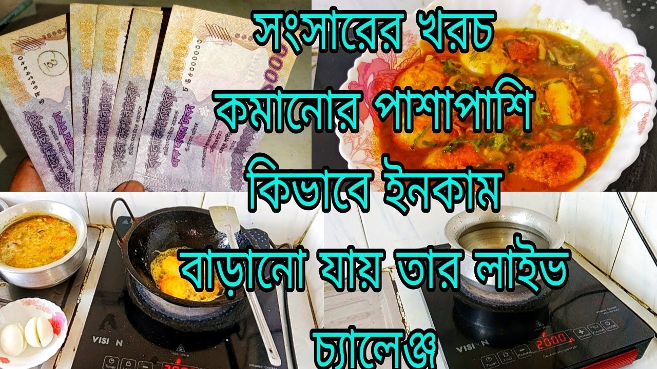 কিভাবে খরচ কমাবো ইনকাম বাড়াবো তার উপায়।খরচ কমানোর পাশাপাশি ইনকাম করার উপায়।Aspia vlogs