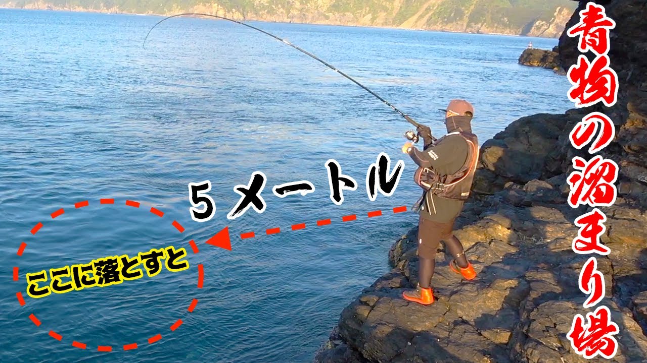 目の前の海にルアーを落とすだけで簡単に青物が釣れる！？