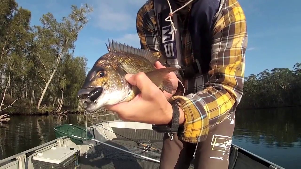 bream fishing with cicada lures