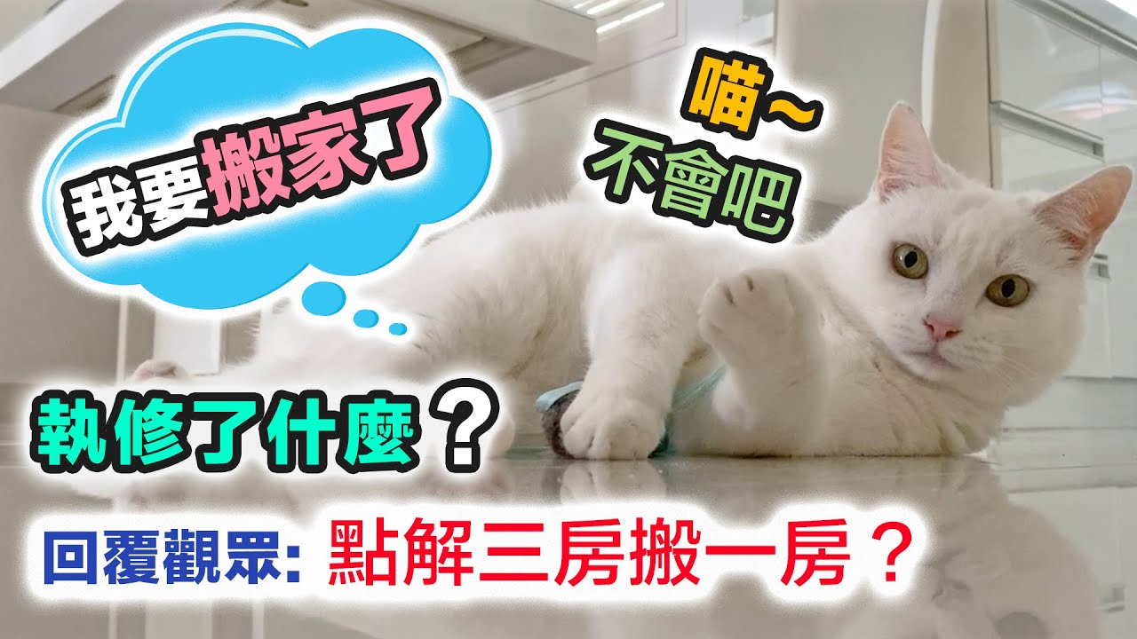 新樓執修 VS 舊樓裝修｜搬到天鑽的原因？ 收樓超過三個月 最煩竟然是？給大家一個膠袋｜貓貓 ASMR｜中文字幕