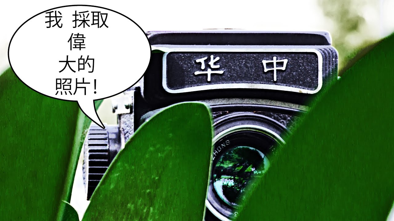 Hua Zhong | Exceptional Made in China TLR with Excellent Optics, the BEST Vintage Chinese TLR