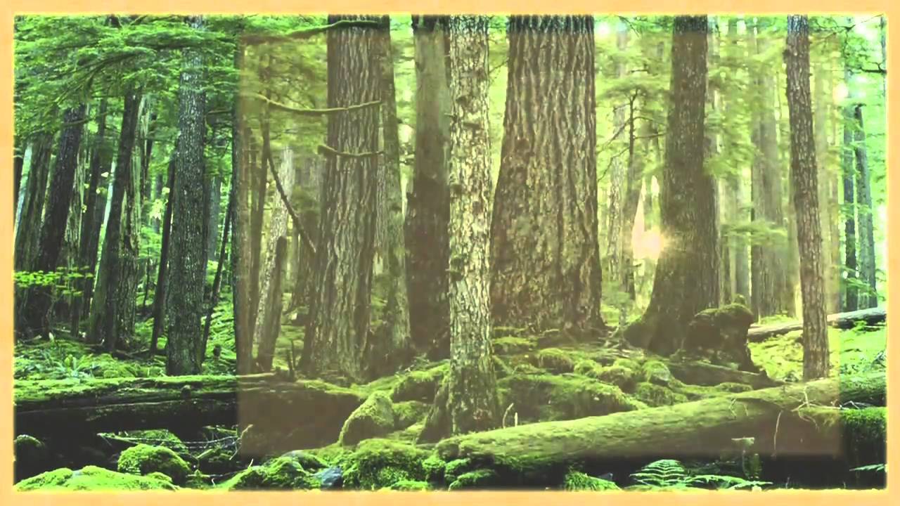 Deep Study Retreat Trailer