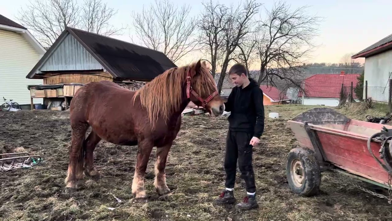 Молодий ґазда Андрійко продає гарні кобилки