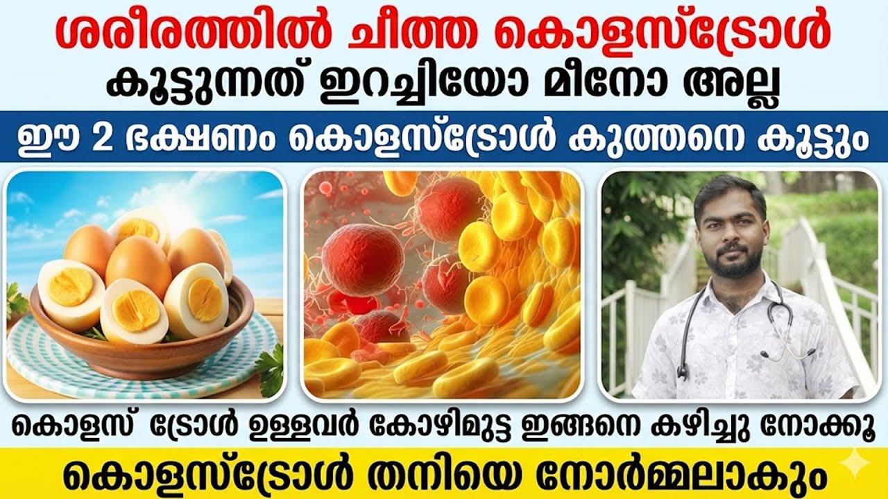 ഈ 2 ഭക്ഷണങ്ങൾ കൊളെസ്ട്രോൾ കുത്തനെ കൂട്ടും - കോഴിമുട്ട കഴിച്ചാൽ ഇങ്ങനെ നോർമലക്കാം | cholesterol