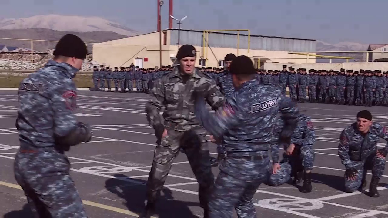 Այցելություն ոստիկանության զորքեր