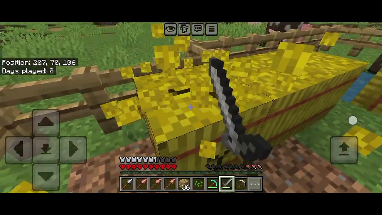 3 February 2026