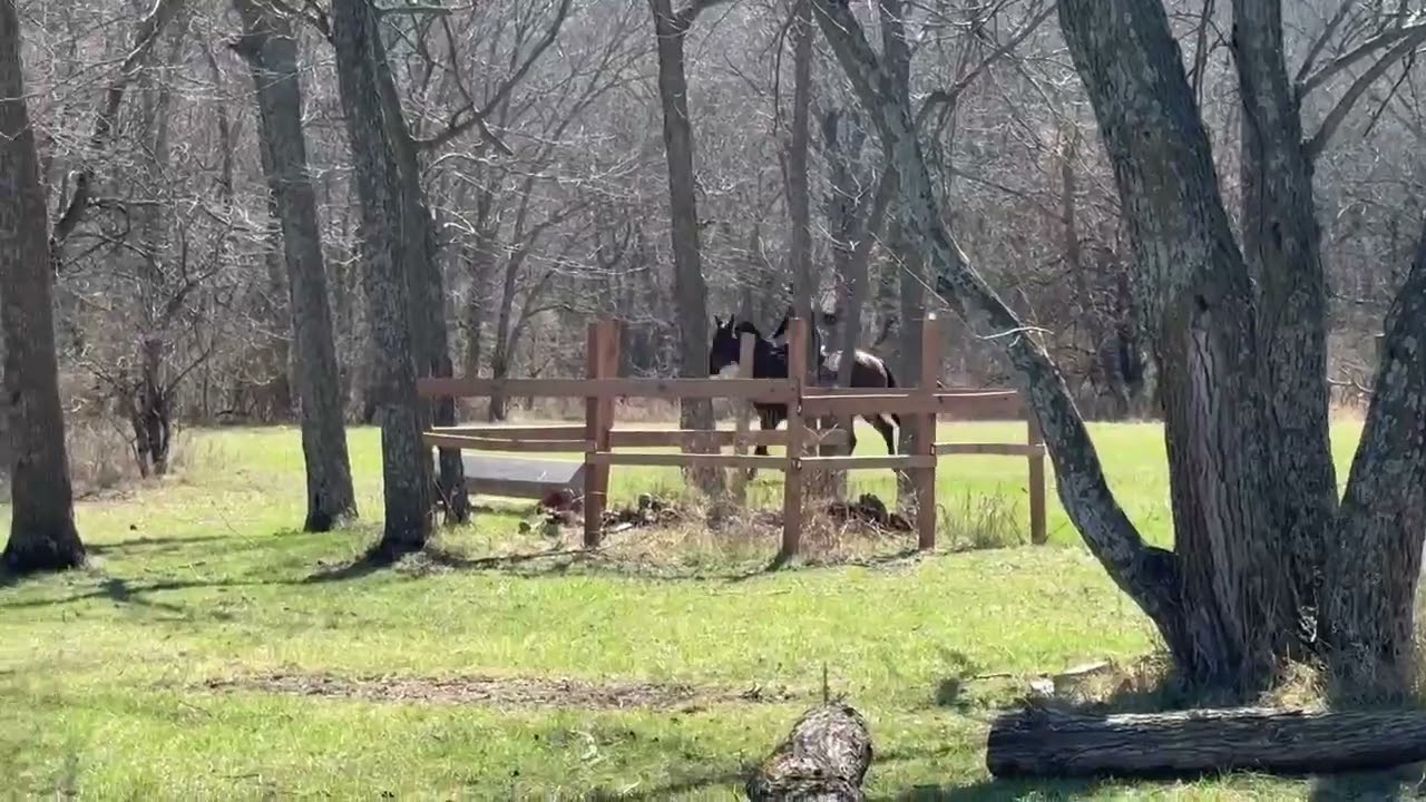 InnCamo's Very First XC Schooling