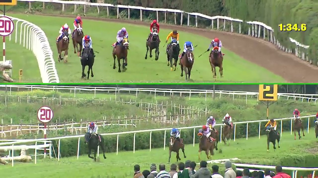 #OOTY RACE - 7 May 23 | The Nilgiris Derby Stakes (Gr.1) | Race 4 | SOMETHING ROYAL with P Sai Kumar
