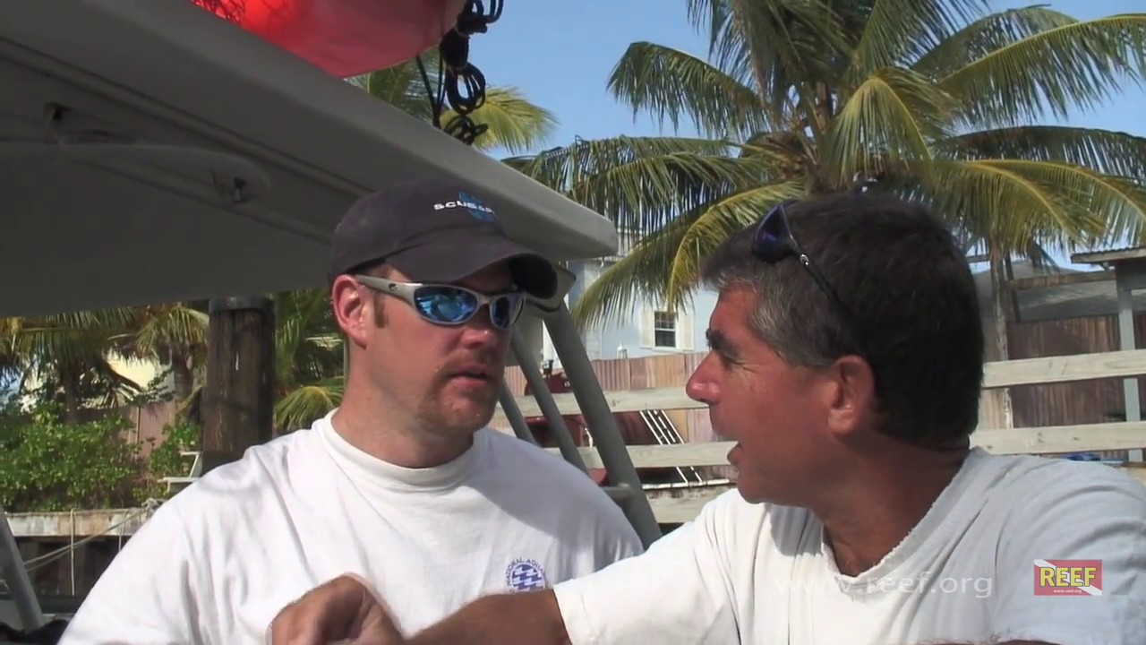 Lionfish Invasion