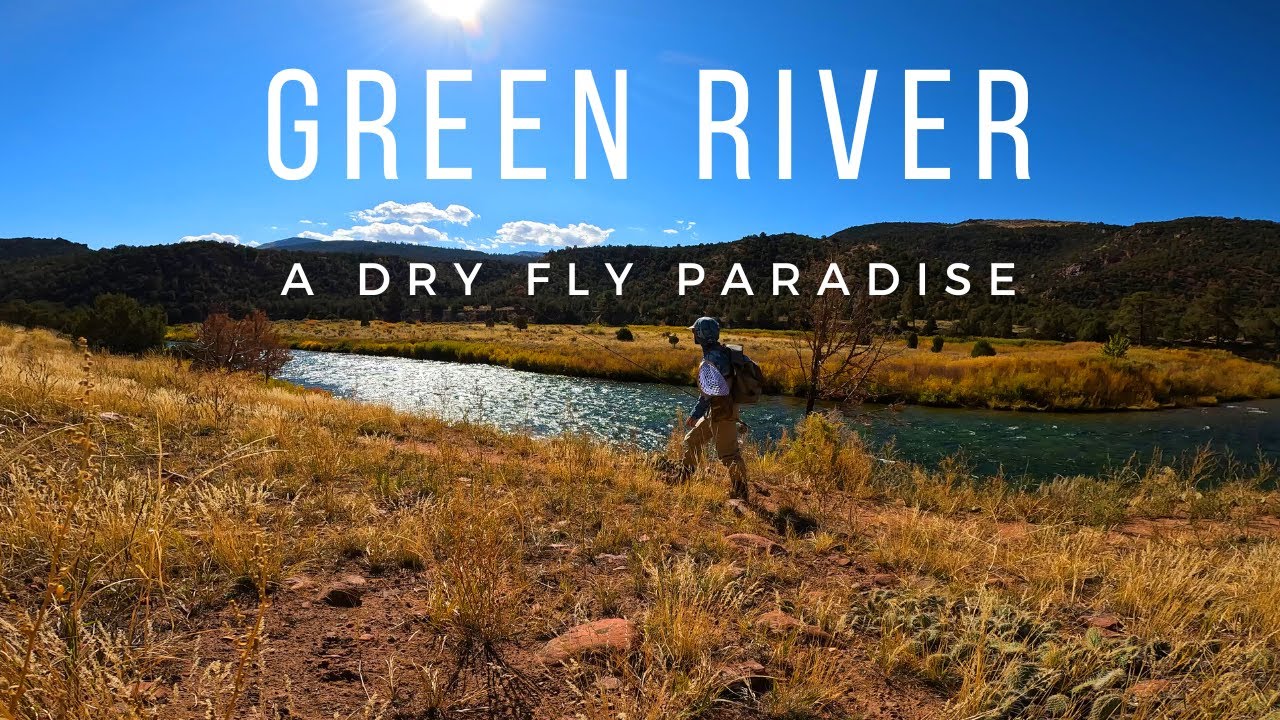 A Dry Fly Fishing PARADISE | Green River-Part 3