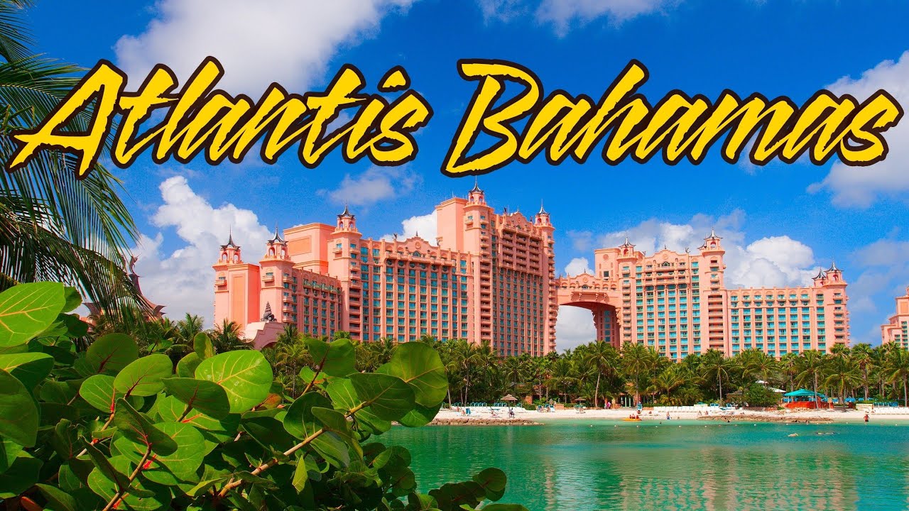 WHTV CEO Anna Edwards & Team 🌴 BAHAMAS
