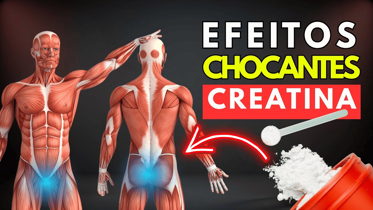10 Mudan&ccedil;as que Acontecem no Seu Corpo ao Consumir 5g de Creatina Todos os Dias