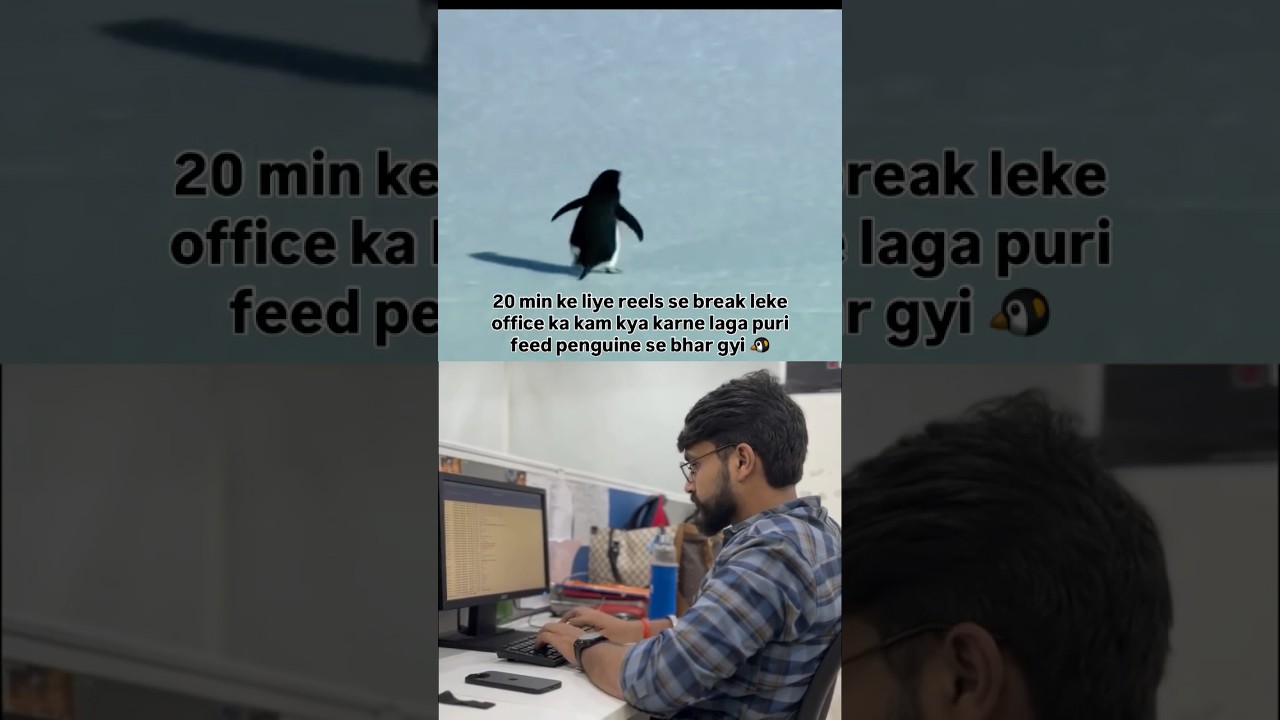 Penguin🐧 