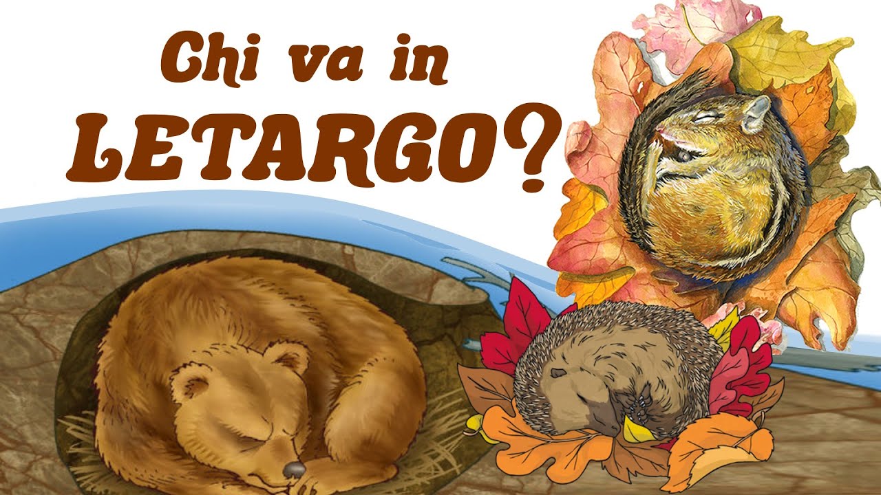 🦔🐻🦡 Cos'&egrave; il LETARGO? 😴 Quali ANIMALI vanno in LETARGO? E chi sono i pi&ugrave; dormiglioni? 🦇🐢