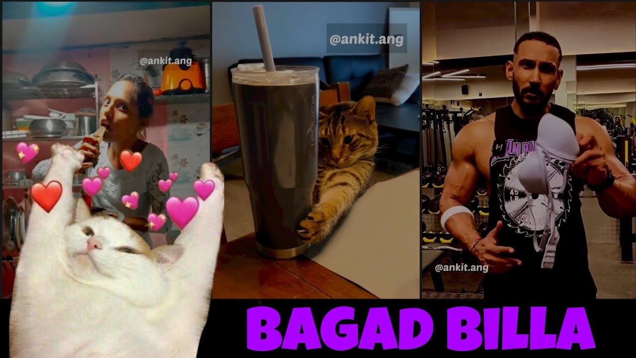 Bagad Billa Funny Video | Bagad Billa Roast |