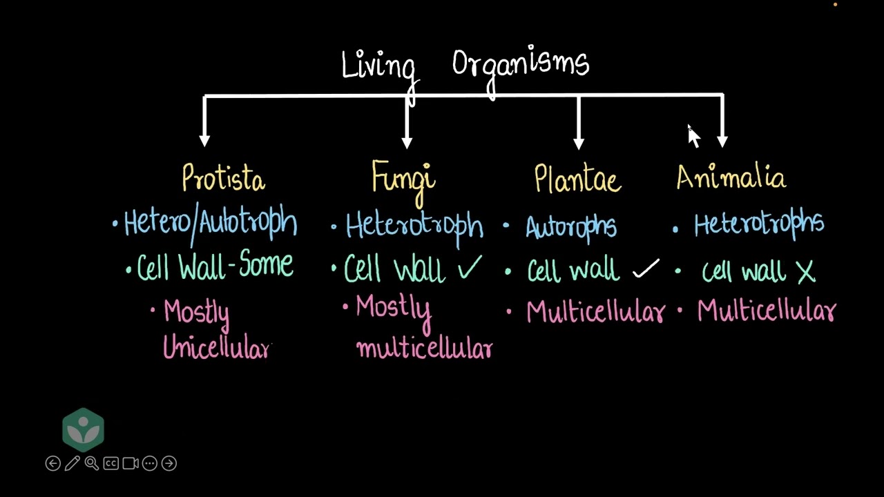 5 Kingdom Classification of Living Organisms | Living World | Middle School | Science | Khan Academy