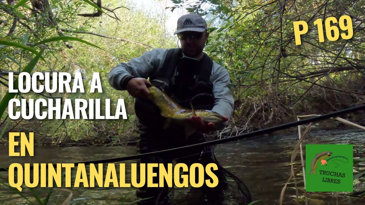 PROYECTO 169 | 🤪🤪VAYA LOCURA DE JORNADA DE PESCA A CUCHARILLA EN EL COTO SM DE QUINTANALUENGOS