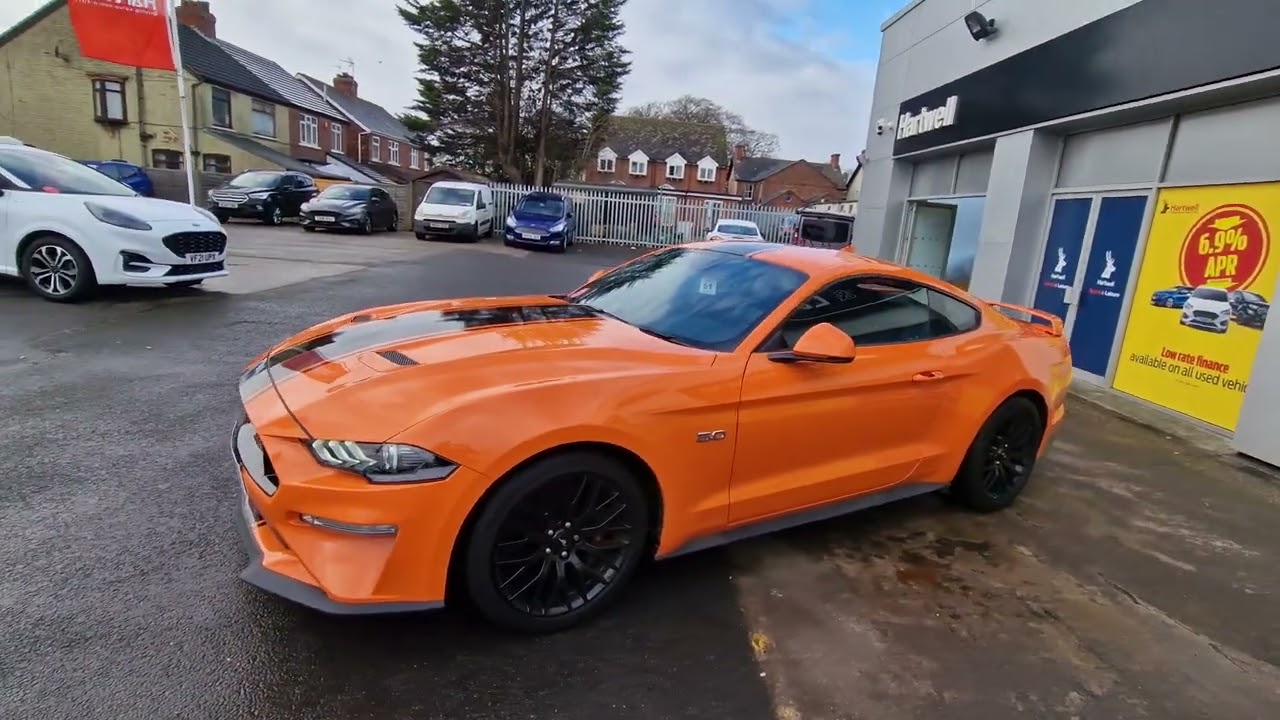 Ann ita Ford Mustang Stripe
