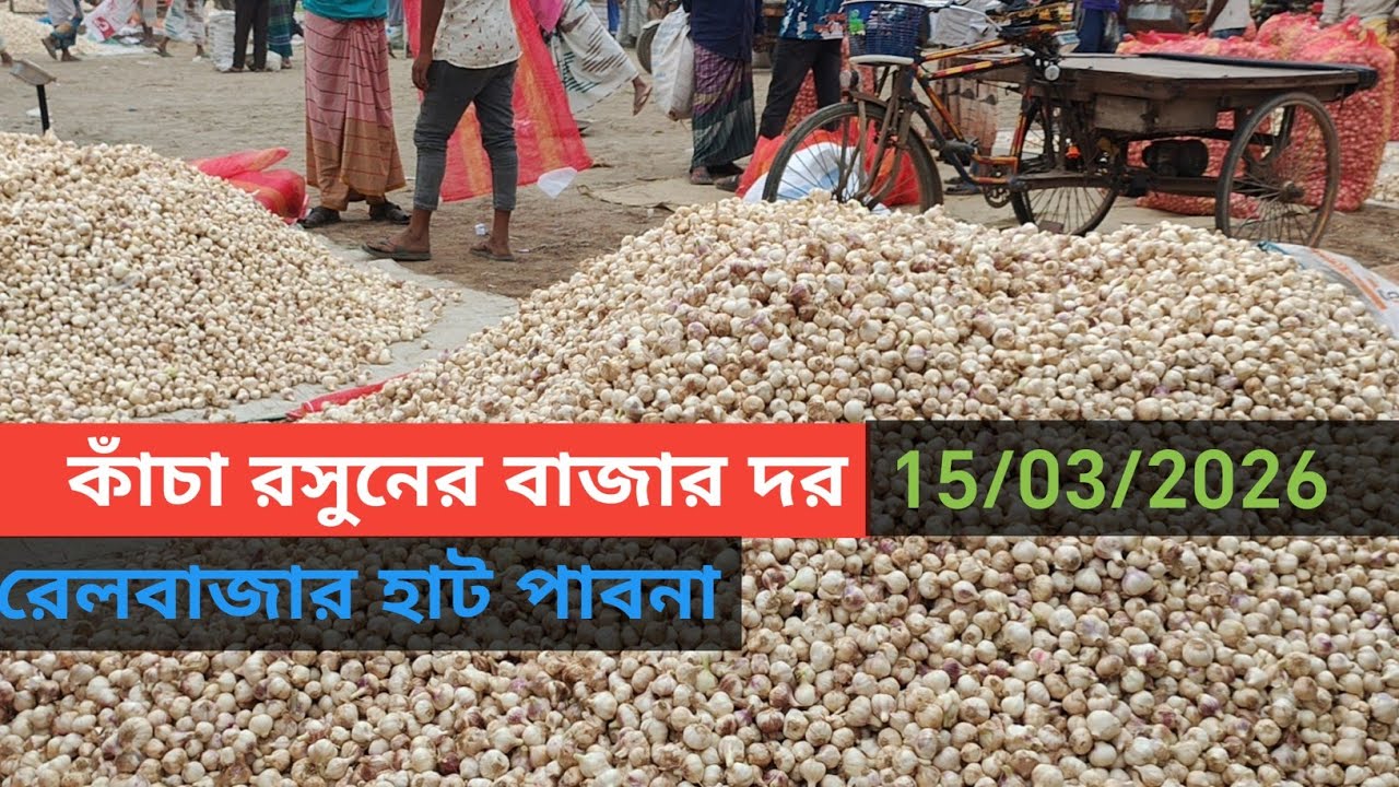 15 March 2026 আজকের রসুনের বাজার দর। Garlic market price rate ln Pabna Bangladesh 