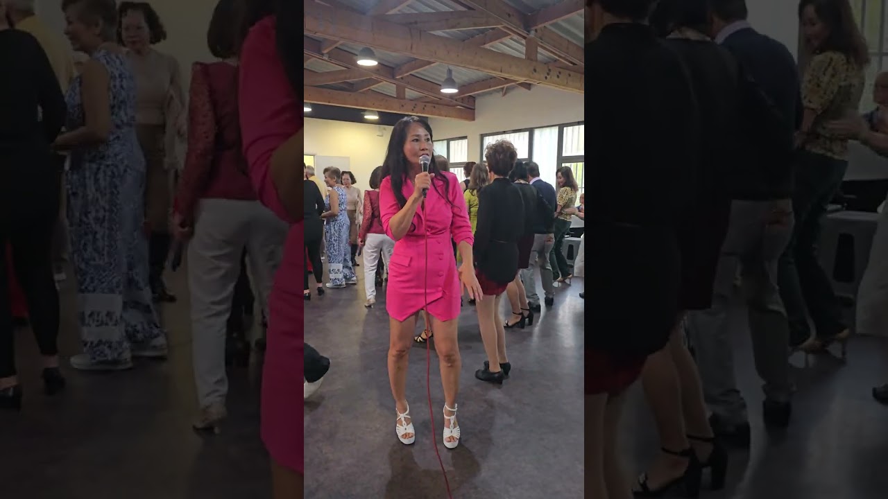 La leçon de twist- Hoàng Anh Sylvie 
