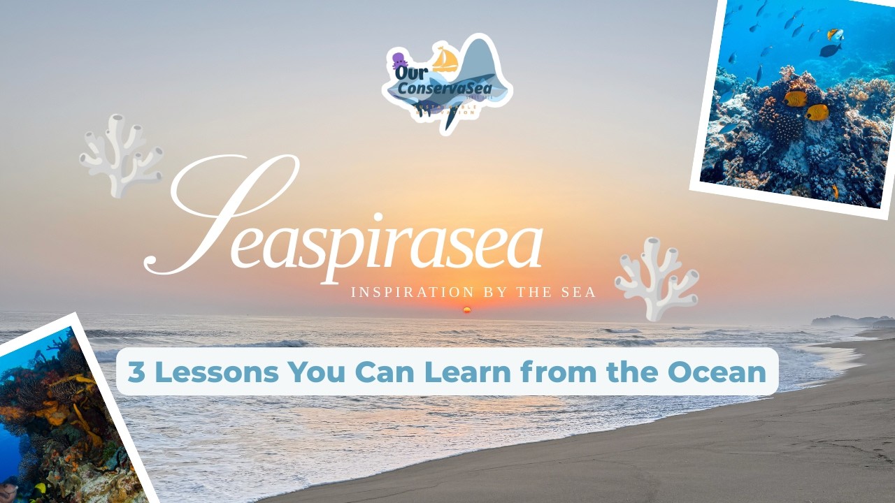 SeaspiraSea | 3 Things You Learn from the Ocean