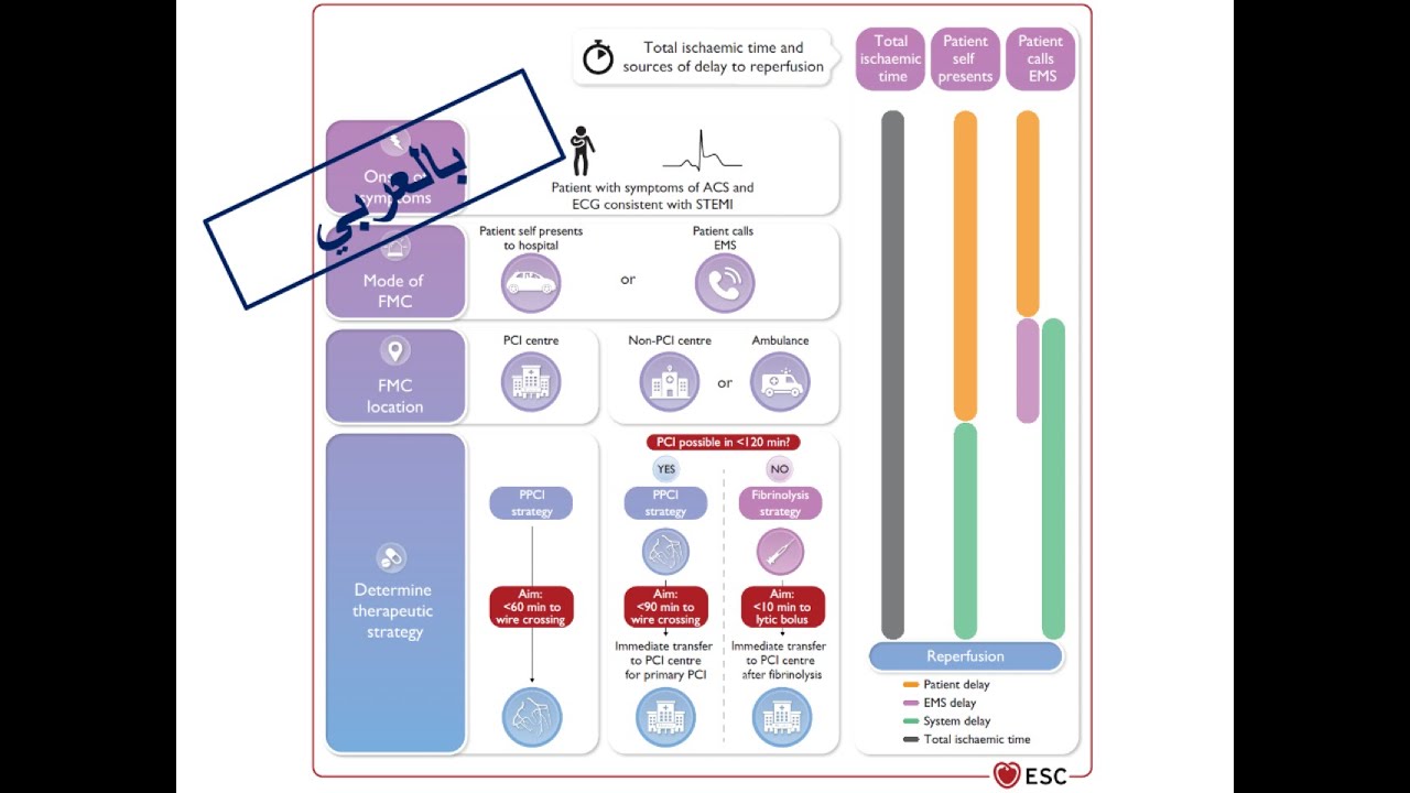 ESC Guidelines of ACS: 3. Working Diagnosis of STEMI vs NSTE ACS (Arabic Version)