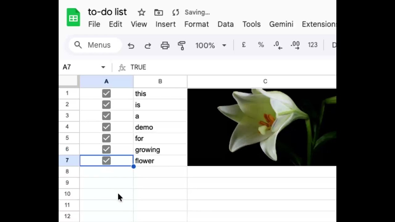 growing flower excel demo