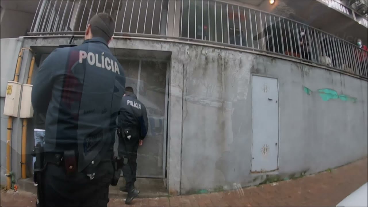 Resgate 5 cães: Zona J - Chelas