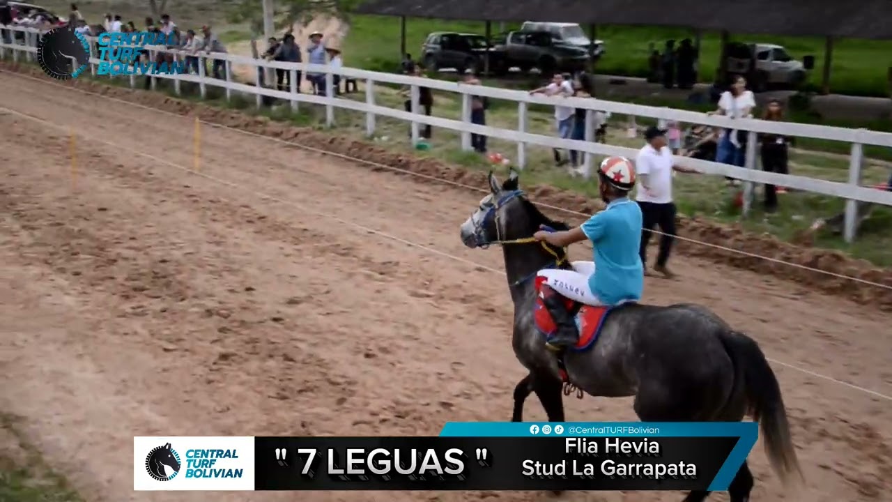 7 Leguas vs El Cantador 