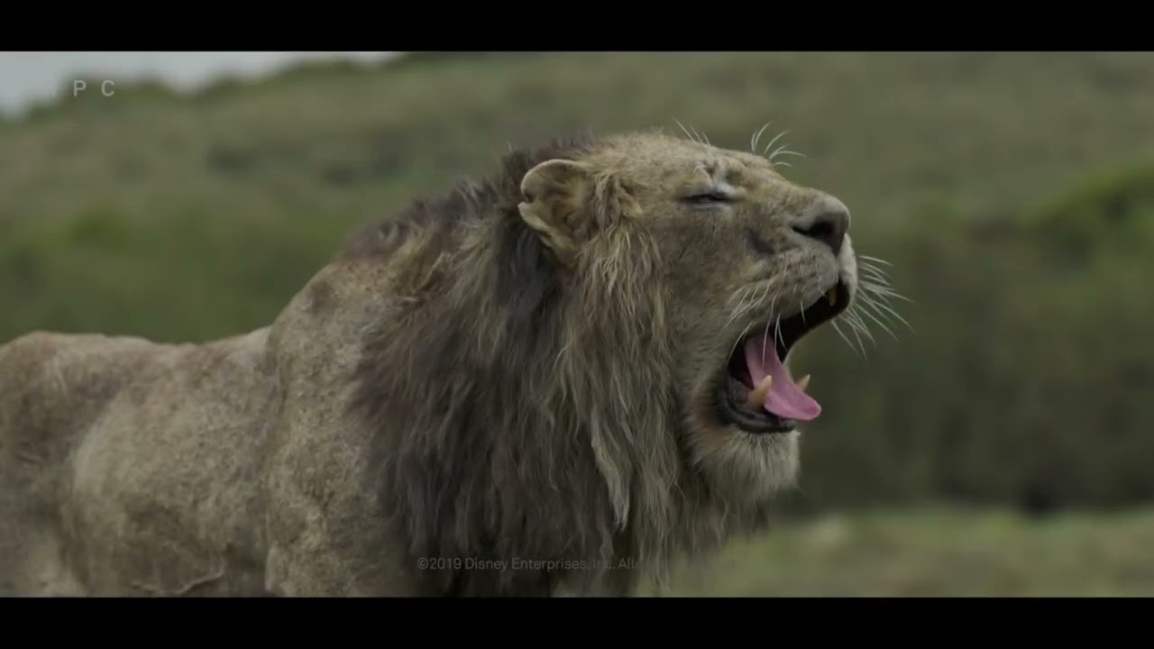 MPC Film The Lion ing VFX Breakdown