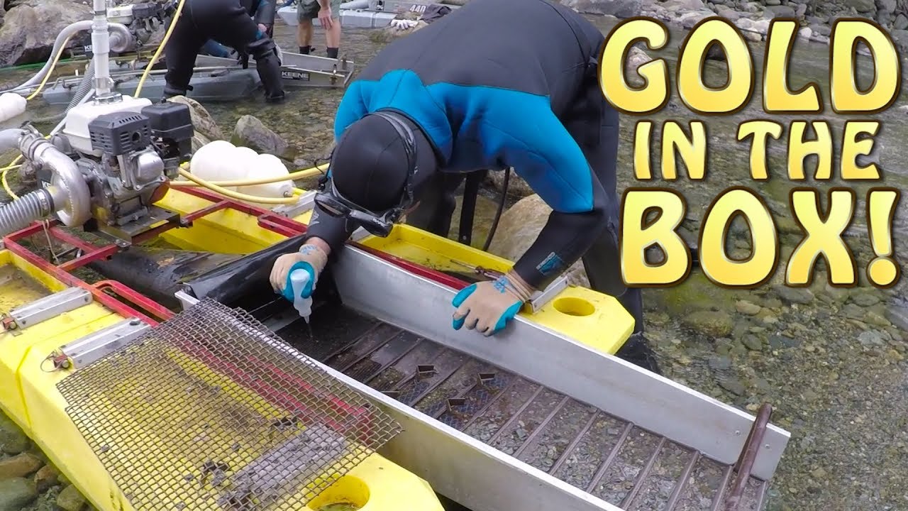 Gold in the sluice box!