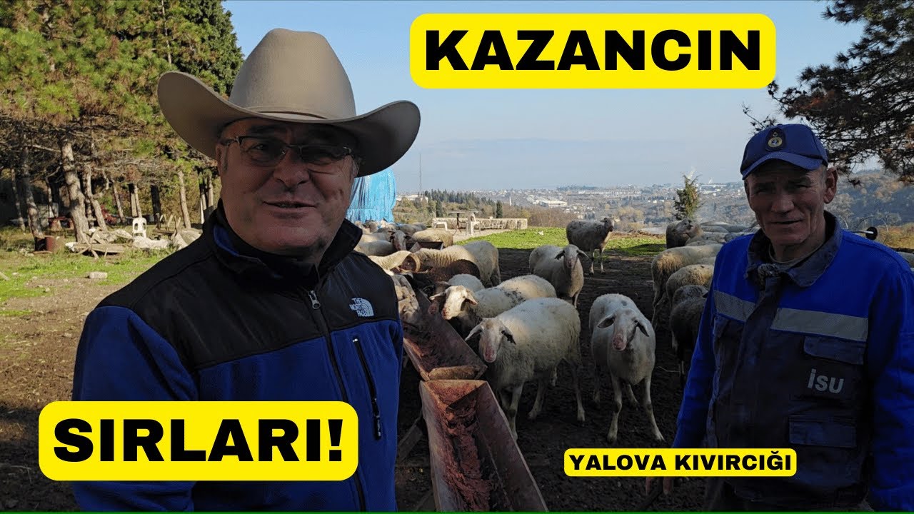 YALOVA KIVIRCIĞINDAN PARA KAZANANLARIN SIRLARI!
