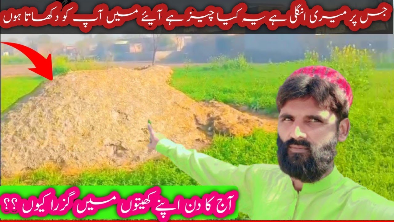 Why did you spend today in your fields?||jis chzj per meri ungali hai yah kya hai||MOHSIN CHUHAN 