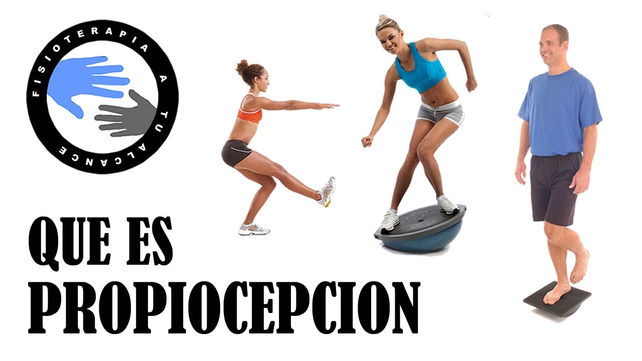 What is proprioception and why should we work on the proprioceptive system?