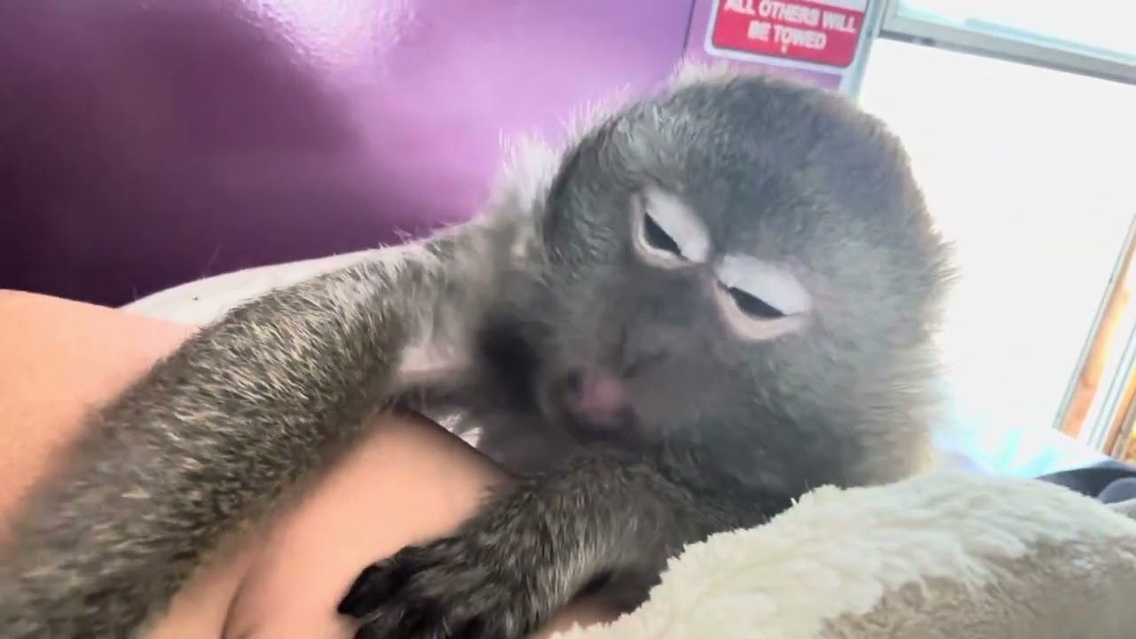 Abby Louise Taking Care Of Me ASMR