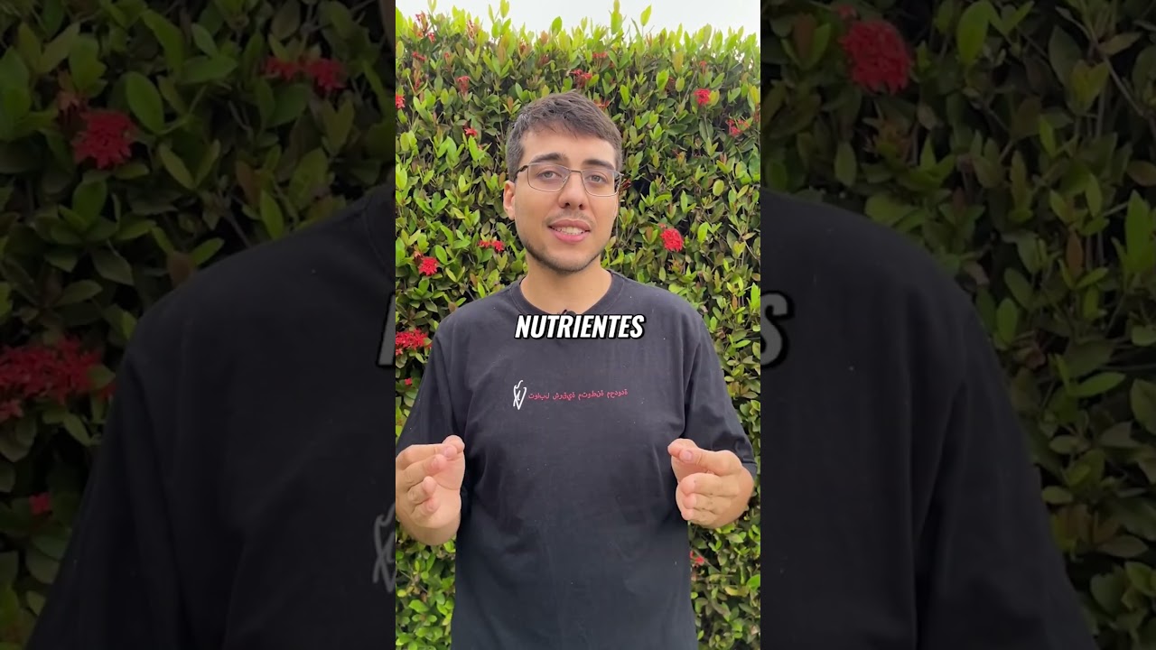 5 DICAS para GARANTIR a REGA IDEAL no CULTIVO MINERAL #shorts