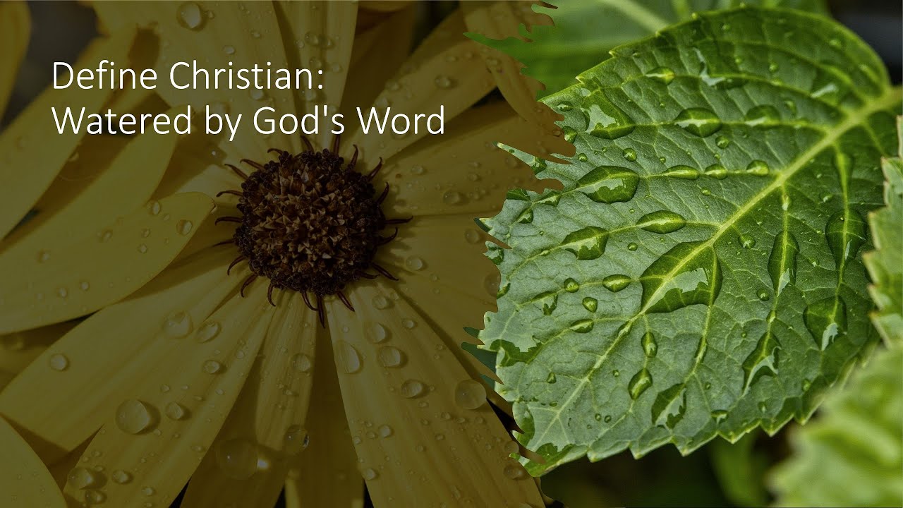 Define Christian: Watered by God's Word - Pastor Ticks Sunday Worship Live Stream