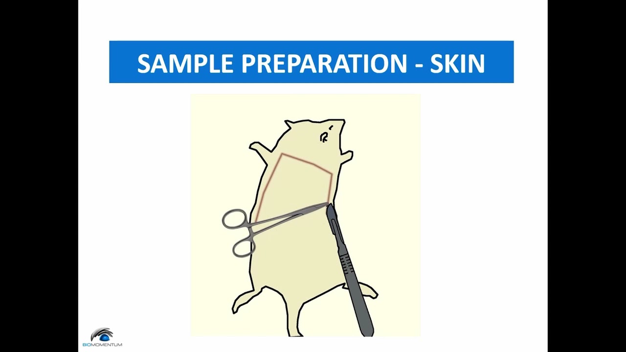 Digital Image Correlation - Mode 1 Edge Crack Testing - Part 3 - Skin Sample Preparation