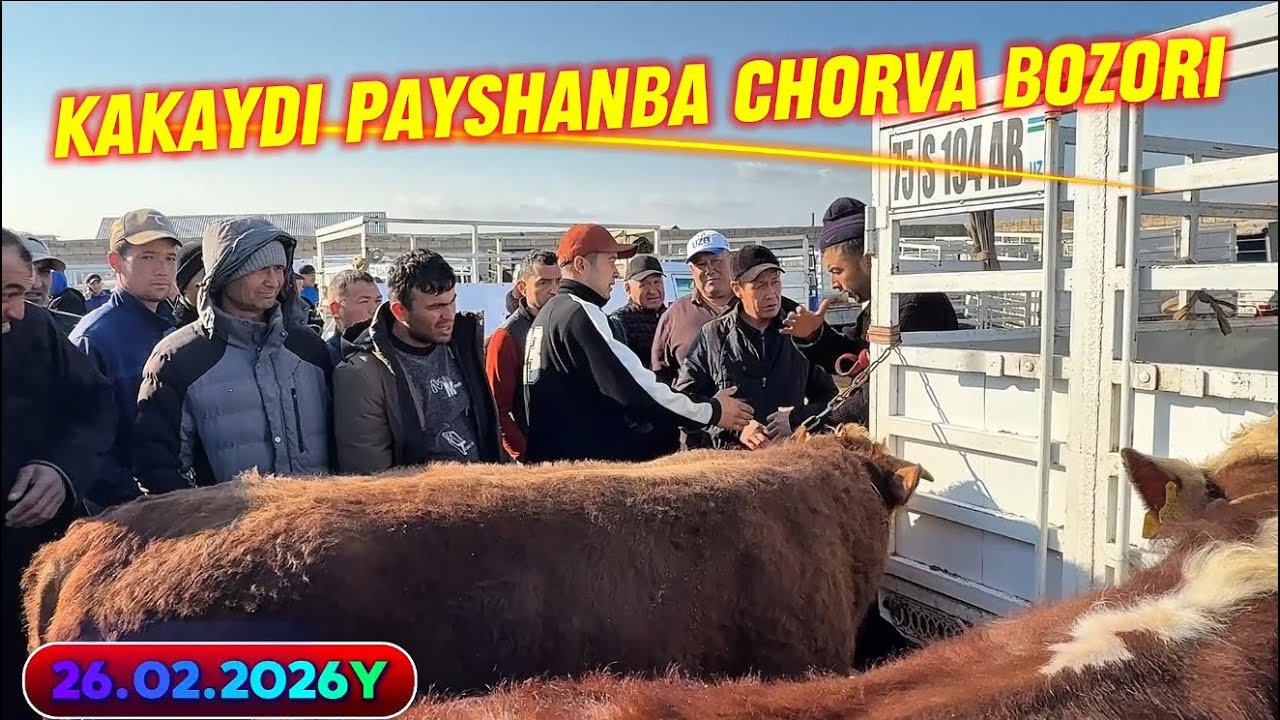 JARQO’RG’ON KAKAYDI CHORVA BOZORI 26.02.2026y