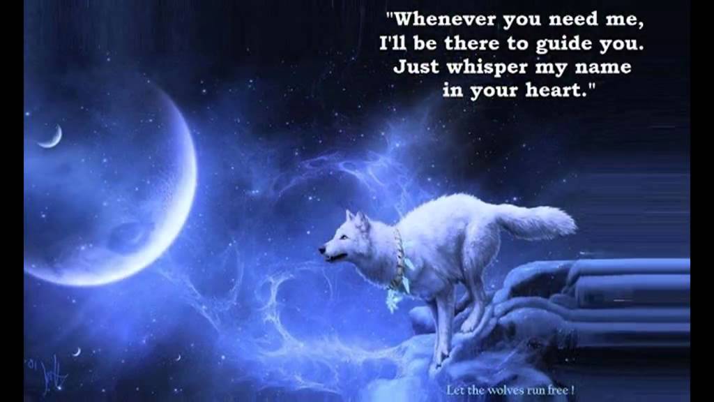 INFJ - The Lone Wolves - Animal Spirit Video [THEBARRACUDA57]