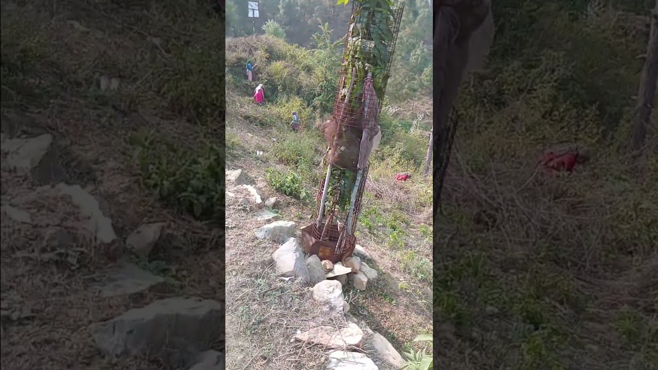 सफाई अभियान...