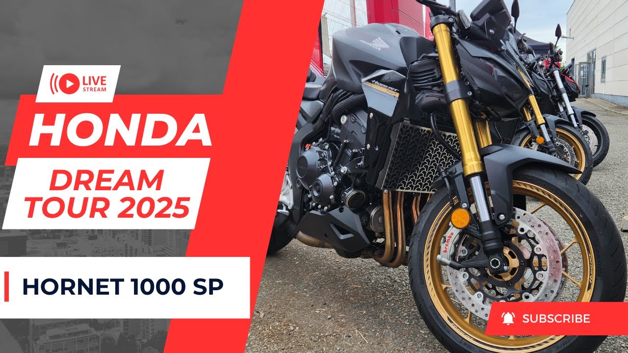 La guêpe pique fort | HORNET 1000SP | ESSAI